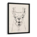 Llama Retrato Ii - Jennifer Goldberger | Cuadro decorativo de Canvas Lab