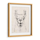 Llama Retrato Ii - Jennifer Goldberger | Cuadro decorativo de Canvas Lab
