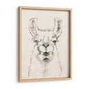 Llama Retrato Ii - Jennifer Goldberger | Cuadro decorativo de Canvas Lab