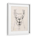 Llama Retrato Ii - Jennifer Goldberger | Cuadro decorativo de Canvas Lab