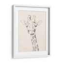 Retrato De Jirafa Ii - Jennifer Goldberger | Cuadro decorativo de Canvas Lab