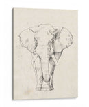 Retrato De Elefante I - Jennifer Goldberger | Cuadro decorativo de Canvas Lab