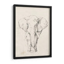 Retrato De Elefante I - Jennifer Goldberger | Cuadro decorativo de Canvas Lab