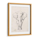 Retrato De Elefante I - Jennifer Goldberger | Cuadro decorativo de Canvas Lab