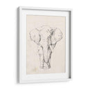 Retrato De Elefante I - Jennifer Goldberger | Cuadro decorativo de Canvas Lab