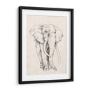 Retrato De Elefante Ii - Jennifer Goldberger | Cuadro decorativo de Canvas Lab