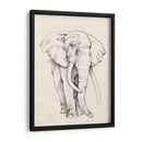Retrato De Elefante Ii - Jennifer Goldberger | Cuadro decorativo de Canvas Lab