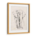 Retrato De Elefante Ii - Jennifer Goldberger | Cuadro decorativo de Canvas Lab