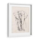 Retrato De Elefante Ii - Jennifer Goldberger | Cuadro decorativo de Canvas Lab