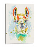 Hifi Llama I - Jennifer Goldberger | Cuadro decorativo de Canvas Lab