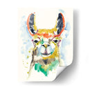 Hifi Llama Ii - Jennifer Goldberger | Cuadro decorativo de Canvas Lab