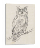 Búho Retrato I - Jennifer Goldberger | Cuadro decorativo de Canvas Lab