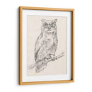 Búho Retrato I - Jennifer Goldberger | Cuadro decorativo de Canvas Lab