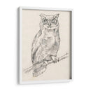 Búho Retrato I - Jennifer Goldberger | Cuadro decorativo de Canvas Lab