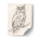 Búho Retrato I - Jennifer Goldberger | Cuadro decorativo de Canvas Lab