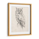 Búho Retrato Ii - Jennifer Goldberger | Cuadro decorativo de Canvas Lab