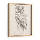 Búho Retrato Ii - Jennifer Goldberger | Cuadro decorativo de Canvas Lab