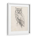 Búho Retrato Ii - Jennifer Goldberger | Cuadro decorativo de Canvas Lab