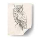Búho Retrato Ii - Jennifer Goldberger | Cuadro decorativo de Canvas Lab