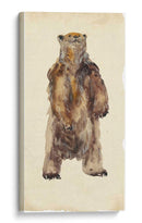 Oso Marrón Mira Fija I - Melissa Wang | Cuadro decorativo de Canvas Lab