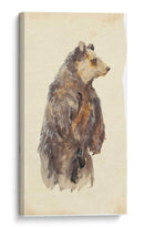 Bear Bear Stare Ii - Melissa Wang | Cuadro decorativo de Canvas Lab