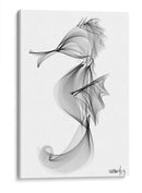 CABALLITO DE MAR - Gina Villalobos | Cuadro decorativo de Canvas Lab