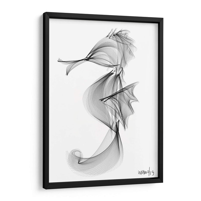 CABALLITO DE MAR - Gina Villalobos | Cuadro decorativo de Canvas Lab