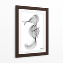 CABALLITO DE MAR - Gina Villalobos | Cuadro decorativo de Canvas Lab