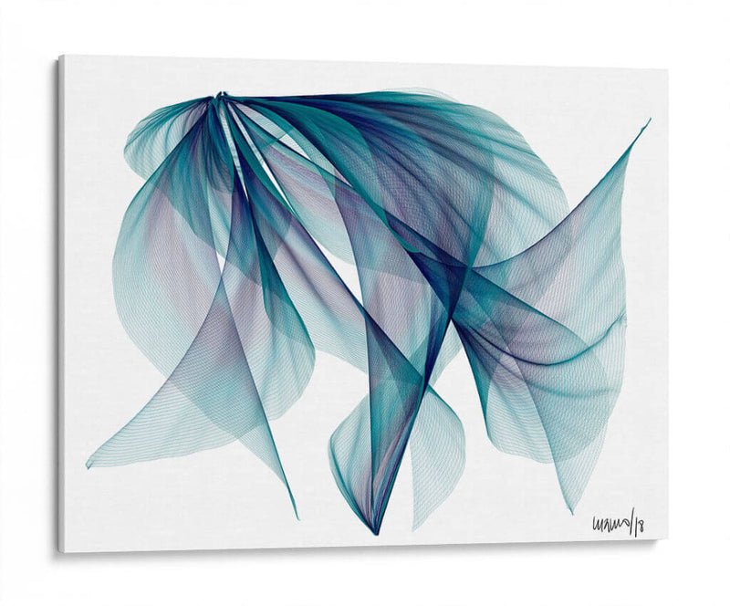 EL PEZ - Gina Villalobos | Cuadro decorativo de Canvas Lab