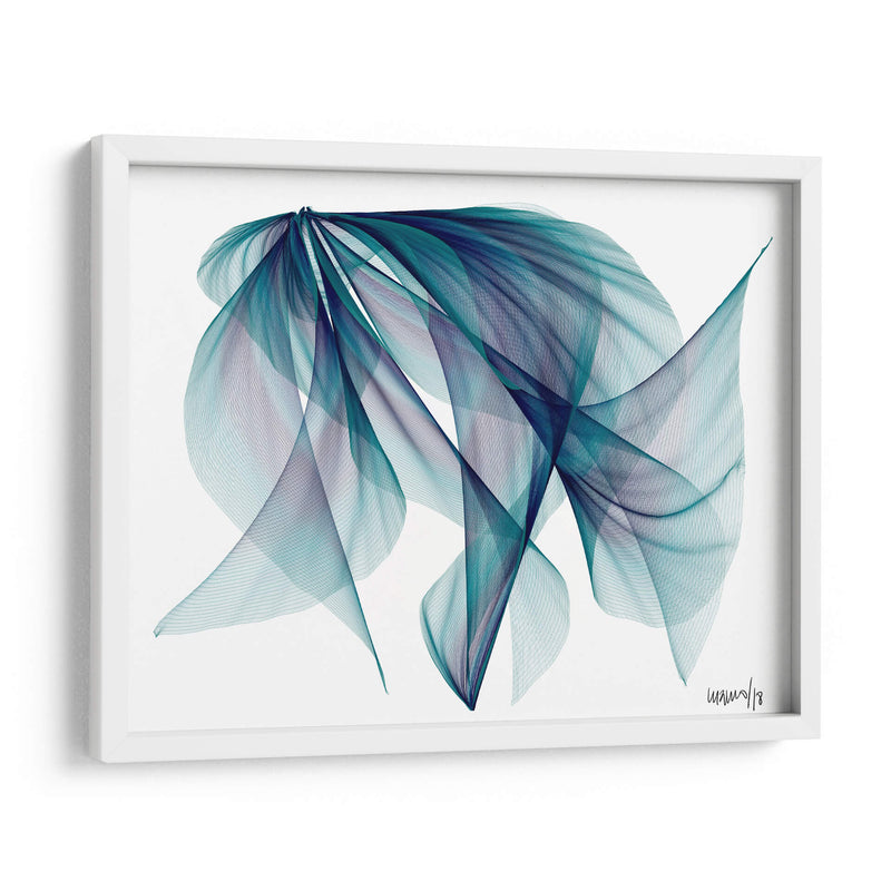 EL PEZ - Gina Villalobos | Cuadro decorativo de Canvas Lab