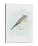 Pájaro Dapper I - June Erica Vess | Cuadro decorativo de Canvas Lab