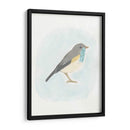 Pájaro Dapper I - June Erica Vess | Cuadro decorativo de Canvas Lab