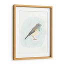 Pájaro Dapper I - June Erica Vess | Cuadro decorativo de Canvas Lab