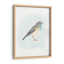 Pájaro Dapper I - June Erica Vess | Cuadro decorativo de Canvas Lab