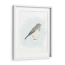 Pájaro Dapper I - June Erica Vess | Cuadro decorativo de Canvas Lab