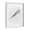 Pájaro Dapper I - June Erica Vess | Cuadro decorativo de Canvas Lab