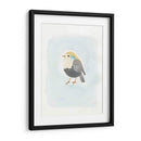 Dapper Bird Ii - June Erica Vess | Cuadro decorativo de Canvas Lab