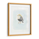 Dapper Bird Ii - June Erica Vess | Cuadro decorativo de Canvas Lab