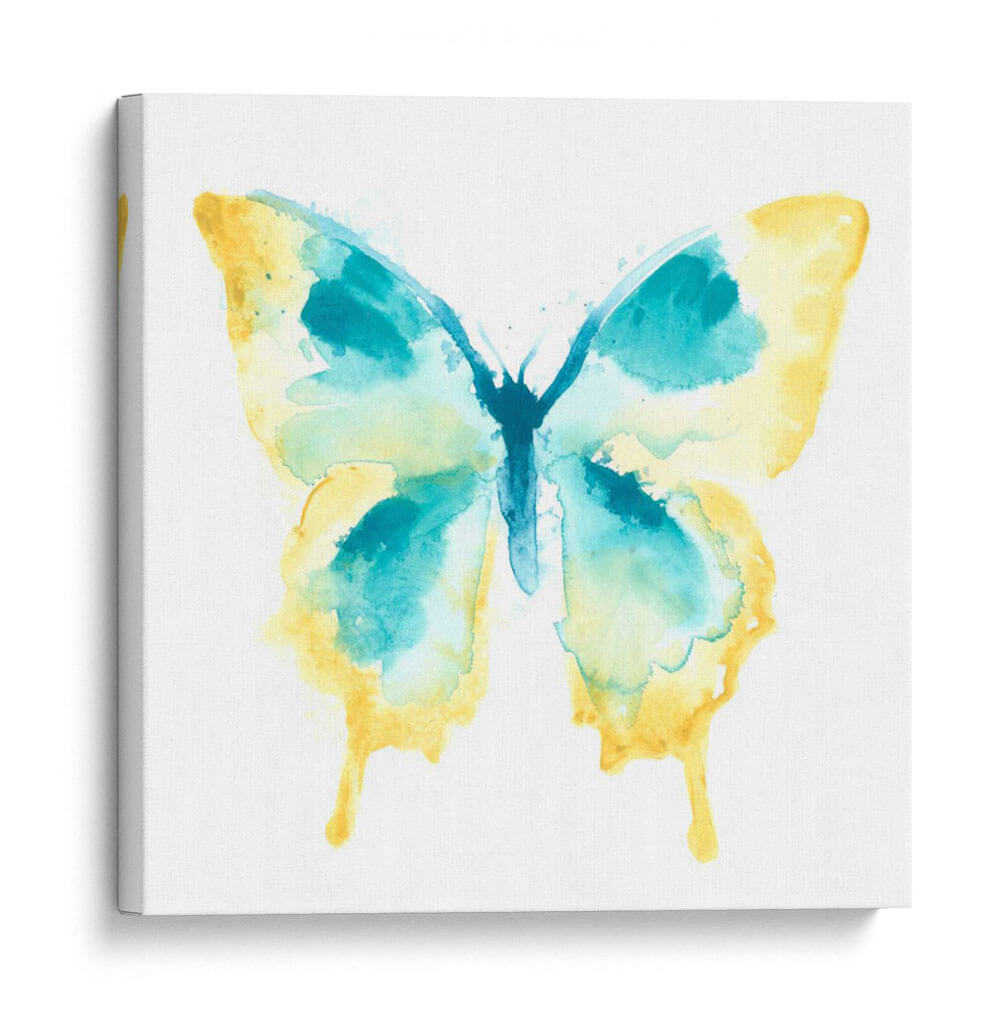 Trazas De Mariposa Ii - June Erica Vess | Cuadro decorativo de Canvas Lab