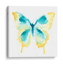 Trazas De Mariposa Ii - June Erica Vess | Cuadro decorativo de Canvas Lab