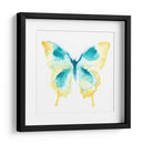 Trazas De Mariposa Ii - June Erica Vess | Cuadro decorativo de Canvas Lab