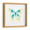 Trazas De Mariposa Ii - June Erica Vess | Cuadro decorativo de Canvas Lab