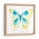 Trazas De Mariposa Ii - June Erica Vess | Cuadro decorativo de Canvas Lab