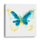 Trazas De Mariposa Iii - June Erica Vess | Cuadro decorativo de Canvas Lab