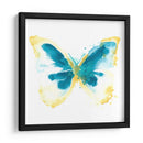 Trazas De Mariposa Iii - June Erica Vess | Cuadro decorativo de Canvas Lab