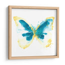 Trazas De Mariposa Iii - June Erica Vess | Cuadro decorativo de Canvas Lab