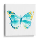 Trazas De Mariposa Iv - June Erica Vess | Cuadro decorativo de Canvas Lab