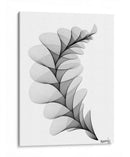 HELICONIA 1 - Gina Villalobos | Cuadro decorativo de Canvas Lab