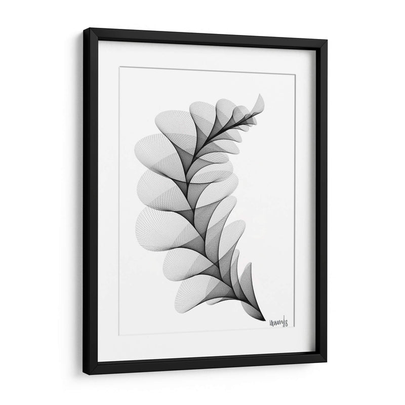 HELICONIA 1 - Gina Villalobos | Cuadro decorativo de Canvas Lab