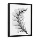 HELICONIA 1 - Gina Villalobos | Cuadro decorativo de Canvas Lab